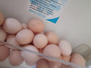 蛋百惠農家散養鮮雞蛋新鮮現撿現發(fā)谷物喂養正宗蟲(chóng)草雞蛋單枚40±5g 50枚 曬單實(shí)拍圖