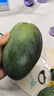 京鮮生 攀枝花凱特芒果 凈重4.5斤 帶箱5斤 單果400g+ 生鮮水果源頭直發(fā) 曬單實(shí)拍圖