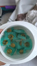 威露士9X殺菌洗衣凝珠12g*32粒  除螨 濃縮洗衣液 洗衣液消毒水二合一  曬單實(shí)拍圖