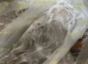 同仁堂北京同仁堂即食海參 大連遼參3斤24-30只固形物超80%海鮮海參禮盒 曬單實拍圖