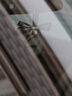 MIX THING車(chē)載香薰凌凌六掛件香片補(bǔ)充裝固體香膏汽車(chē)掛件植萃香片替換裝 海鹽青檸茉*4【掛件款】 曬單實(shí)拍圖