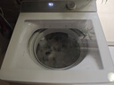 海爾（Haier）小紅花全自動(dòng)波輪洗衣機(jī) 10kg家用 家電國家補(bǔ)貼20%  一級(jí)能效以舊換新頑漬洗 XQS100-BE73M雙動(dòng)力 曬單實(shí)拍圖
