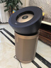 戴森（DYSON）BP04空氣凈化器 大面積凈化異味過(guò)敏原除甲醛  濾除花粉寵物毛發(fā) 醫(yī)護(hù)級(jí) 寵護(hù)認(rèn)證 【藍(lán)金色】 曬單實(shí)拍圖
