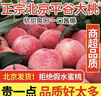 橙檬有你平谷桃子水蜜桃新鮮桃子水蜜桃現摘現發(fā)北京大桃子整箱水果禮盒裝 8斤大大果12粒7兩左右【禮盒裝】 曬單實拍圖