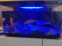 米家（MIJIA）智能生態(tài)魚缸定時(shí)喂食智能魚缸+畫法幾何增氧泵套裝 曬單實(shí)拍圖