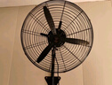 鉆石牌工業(yè)風(fēng)扇大風(fēng)力電風(fēng)扇牛角扇大功率工業(yè)大風(fēng)扇工廠車間商用立式落地扇吹除甲醛FS-65 曬單實拍圖
