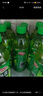 達(dá)利園 青梅綠茶飲料青梅果汁果味茶飲品500ml*15瓶 夏日飲料整箱 曬單實拍圖