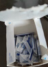雀巢（Nestle）FM85母乳強(qiáng)化劑適度水解蛋白配方早產(chǎn)兒母乳營(yíng)養(yǎng)添加劑1g*72袋 【母乳強(qiáng)化劑】72袋 曬單實(shí)拍圖