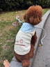 華元寵具（hoopet）狗狗衣服夏天薄款小型犬夏季貓咪西高地比熊雪納瑞寵物防掉毛衣服 藍(lán)條紋領(lǐng)結(jié)綠色背心 M-胸圍42CM（建議7-10斤） 曬單實(shí)拍圖