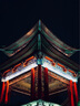 松下（Panasonic）28-200mm F4-F7.1全畫幅無反/微單相機(jī)遠(yuǎn)攝變焦長焦鏡頭 一鏡走天下 曬單實(shí)拍圖