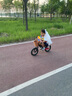 KinderKraftkk兒童自行車4-6-12歲學(xué)生單車青少年男女孩禮物山地車幻影16寸紫 曬單實(shí)拍圖
