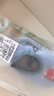 愛寶適寶寶地板襪夏款學(xué)步鞋軟底嬰兒襪子隔涼步前鞋獅子+恐龍S碼B2065 曬單實拍圖
