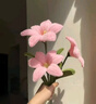 OEIN扭扭棒手捧花diy花束材料包自制泡泡玫瑰郁金香成品送女朋友禮物 海鹽藍(lán)花束材料包-送教程 曬單實(shí)拍圖