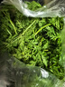 新鮮手指蘿卜葉子500g擺盤(pán)裝飾點(diǎn)綴花草葉子手指胡蘿卜純?nèi)~子 500g 曬單實(shí)拍圖