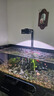 樂迪魚缸燈72W爆藻燈原生態(tài)溪流缸燈金魚出苔 NX扁燈  黑色80W 【五路可調(diào)光譜】 曬單實(shí)拍圖
