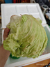綠食者  球生菜3斤 西生菜圓生菜 漢堡用西餐沙拉色拉食材 健康輕食蔬菜 3斤 曬單實拍圖