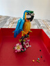 樂高（Lego）創(chuàng)意3合1系列31136異域鸚鵡男女生拼裝積木玩具 曬單實拍圖