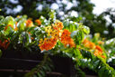 唯卓仕23/33/56mm F1.4索尼口自動對焦鏡頭APS-C畫幅適用E卡口A6400 A6700微單相機(jī)大光圈人像定焦鏡頭 AF 33mm F1.4 E（索尼口） 官方標(biāo)配 曬單實拍圖