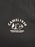 駱駝（CAMEL）男裝三防短袖t恤男春夏季圓領(lǐng)戶(hù)外山系休閑半袖體恤M15BAQR082 曬單實(shí)拍圖