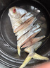 彩雙海深海金鯧魚干淡曬鯧魚干風(fēng)干特大金昌魚干貨海鮮陽江特產(chǎn) 【250-300g/條】5條 曬單實(shí)拍圖