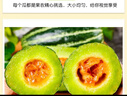山東頭茬博洋9號甜瓜小香瓜蜜瓜現(xiàn)摘新鮮脆甜孕婦應(yīng)季水果一整箱 凈重4.8斤【大果300g起】 曬單實拍圖