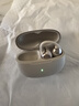 韶音（SHOKZ）【重磅新品】OpenDots ONE耳夾式耳機開放式藍牙耳機動鈦圈E310 韶音耳夾式運動耳機 星際白【京倉直發(fā)】 曬單實拍圖