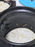 全品屋煎藥砂鍋熬中藥罐明火陶瓷藥鍋煎藥壺中藥壺熬藥砂鍋中藥煲煮藥罐 3.1L【適用約400g內(nèi)藥材】 3100ml 曬單實拍圖