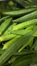新鮮水果秋葵黃秋葵現(xiàn)摘現(xiàn)發(fā)生鮮蔬菜涼拌燒烤火鍋食材減肥瘦身 現(xiàn)摘新鮮秋葵（大包裝） 5斤 曬單實(shí)拍圖