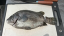 KEEMAKE 日式柳刃刺身刀三文魚刀魚生刀壽司料理刀具生魚片刀金槍魚刀 9.5寸刺身刀+6.5寸魚頭刀 曬單實(shí)拍圖