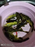 黃辣丁專用餌料夏季野釣爆護黃顙魚黃昂刺魚餌料野釣釣魚小藥窩料 黃辣丁專用小藥【買二送一】 曬單實拍圖