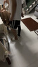 振德醫(yī)用靜脈曲張彈力襪 二級中壓長筒開口 靜脈曲張襪壓力襪 黑色 M 曬單實拍圖