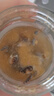 5A紅膏蟹塊 760g/瓶 尊享高品質(zhì) 股股有膏開(kāi)蓋即食 海鮮冷凍水產(chǎn) 曬單實(shí)拍圖