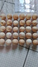 無(wú)抗鮮雞蛋 谷物喂養(yǎng)鮮雞蛋 單枚50g-60g 早餐食材 蛋香味十足 30枚裝 曬單實(shí)拍圖
