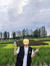 吳衣斯攝影多口袋馬甲工作服定制印字logo導(dǎo)演記者傳媒公司戶外工裝背心 默認(rèn)不帶圖案/請聯(lián)系客服 L 曬單實拍圖