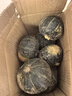 粵迎山東貝貝南瓜板栗口感源頭直發(fā)香甜兒童輔食美味粗糧新鮮蔬菜生鮮 5斤 手挑裝【粉糯香甜】?jī)?.5斤 曬單實(shí)拍圖