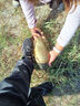 威拓森（weituosen）西部風酒米打窩米野釣窩料鯽魚老壇維他米釣魚餌料魚餌 紅蟲型（紅大米）800克 曬單實拍圖