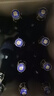 智美Chimay比利時(shí)原裝進(jìn)口修道院精釀藍(lán)帽啤酒 750mL 12瓶 整箱裝 曬單實(shí)拍圖