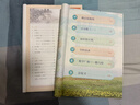 【新華書店正版】適用2025人教版六年級上冊語文數(shù)學書全套2本教材課本教科書人教版小學六6年級上冊語文數(shù)學書人民教育出版社 六年級上冊語文數(shù)學 曬單實拍圖