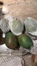 四川攀枝花凱特芒果【新鮮當(dāng)季時令】生鮮多汁芒果水果凱特芒果 5斤 | 果農(nóng)推薦 單果300g+ | 凈4.5斤 【老農(nóng)精采】 曬單實拍圖