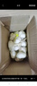 聽蔬有機大蒜頭【新大蒜】干大蒜 涼拌調(diào)味 無農(nóng)殘激素防腐食材匯生鮮 500g 曬單實拍圖