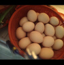 京東包郵谷飼鮮雞蛋40g左右農(nóng)家散養(yǎng)土雞蛋五谷喂養(yǎng)初產(chǎn)買菜早餐 30枚家庭裝 曬單實拍圖