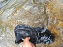 Hang TenGF涼鞋男戶外溯溪鞋防滑速干涉水鞋透氣釣魚鞋水陸兩棲沙灘鞋 天藍(lán)迷彩 46 曬單實(shí)拍圖