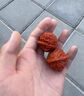 QMXD小核桃文玩手把件迷你指尖把玩手捻學(xué)生女生高拋盤(pán)玩小尺寸小秋子 原皮小核桃【小秋子】25-27 曬單實(shí)拍圖