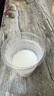 伊利奶粉金領(lǐng)冠媽媽粉孕婦配方400g克孕婦產(chǎn)婦懷孕期哺乳期高鈣 媽媽粉400g 曬單實拍圖