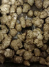 良知農(nóng)哥新鮮野洋姜 鬼子姜菊芋甜姜生洋姜 健康輕食 9.5斤大果丨早期疙瘩多 曬單實拍圖