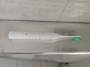 電動牙刷 軟毛磁懸浮聲波震動 情侶款電動牙刷EW-DC02-W電動牙刷 松下-DC01-W包裝微瑕產品全新 曬單實拍圖