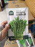 北蔬 空心菜種子種苗三叉大葉四季陽(yáng)臺(tái)種蔬菜種籽 三叉空心菜種子20g 曬單實(shí)拍圖