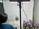 徠茲（LATZZ）80W直播補光燈平板攝影拍攝打光led主播美顏室內(nèi)直播間專業(yè)拍照美食視頻柔光面光燈 曬單實拍圖