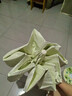 天堂 全自動(dòng)陽傘三折 全自動(dòng)折疊太陽傘遮陽傘黑膠防曬傘 奶酪色 曬單實(shí)拍圖