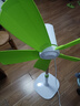中聯(lián)（ZOLEE）中聯(lián)落地扇zolee電風(fēng)扇落地扇家用臺立式遙控靜音客廳節(jié)能搖頭學(xué)生宿舍迷你風(fēng)扇電扇安全聲控語音 搖頭款綠色+遙控定時線 曬單實拍圖